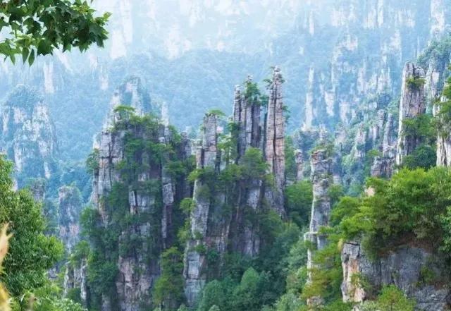 仙境张家界惊艳全世界,张家界的峰林峡谷仙境