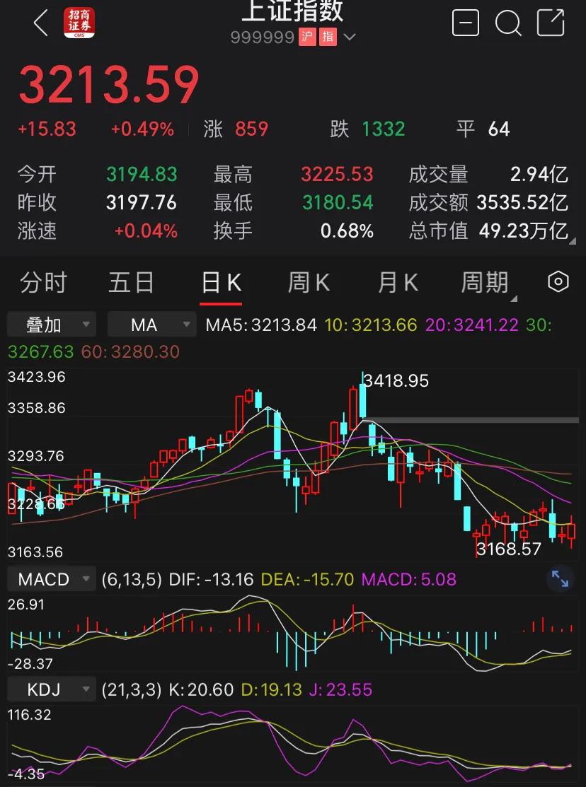 康康炒股日记,炒股日记