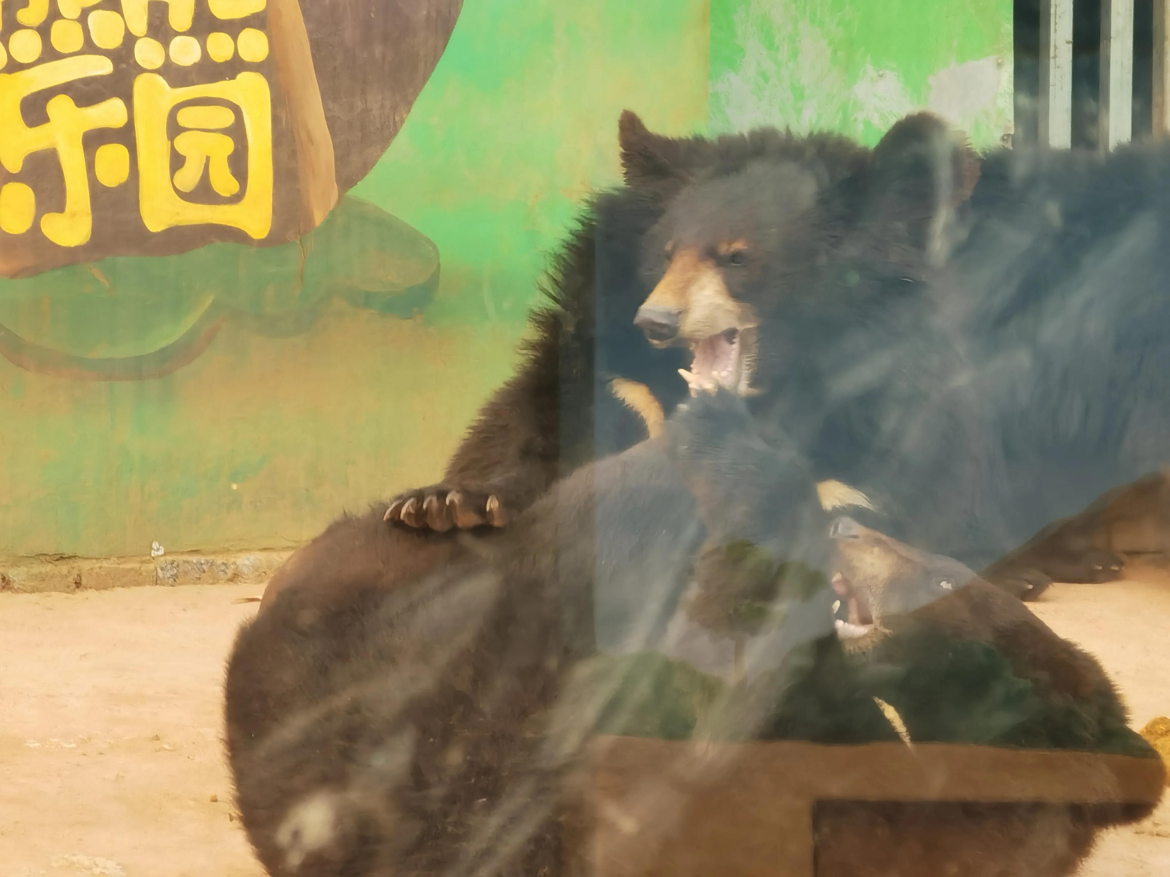 大洪山西游记公园攻略,大洪山西游记公园门票预订