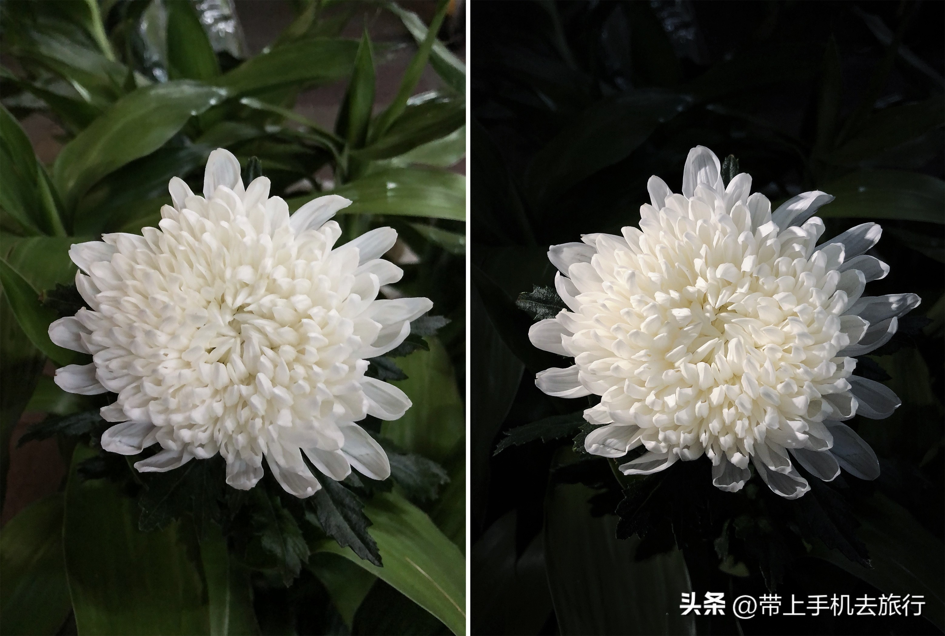 你不知道的手机摄影技巧,你不知道的四个手机冷知识