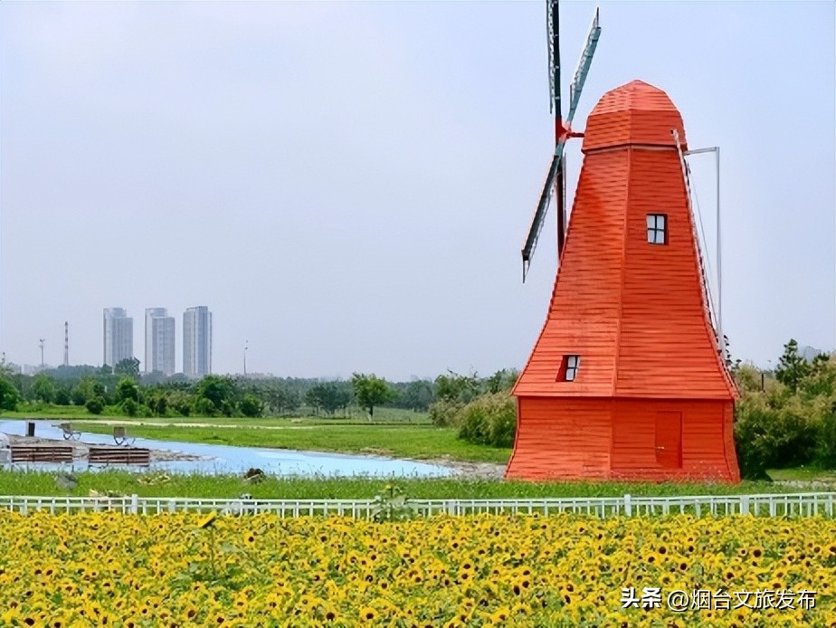 金沙滩攻略从早到晚,金沙滩必打卡