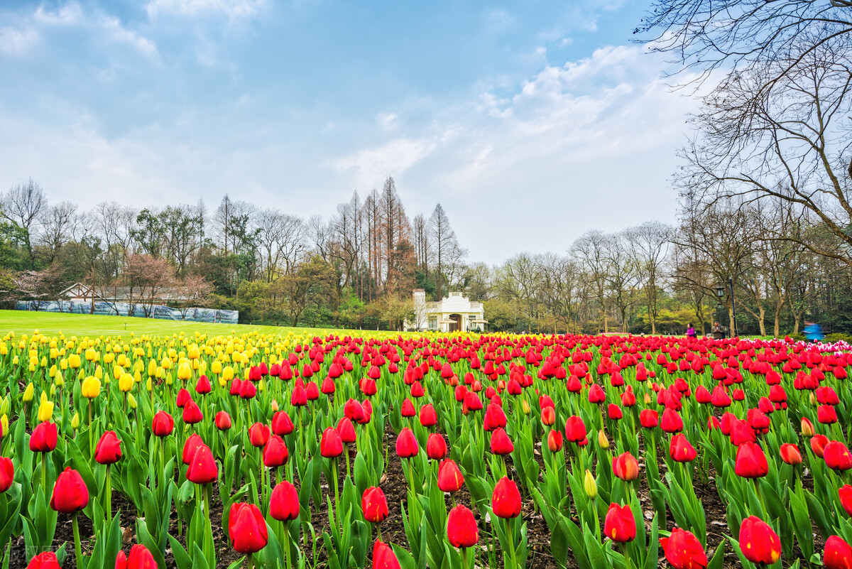 杭州旅游打卡必去景点推荐,最新杭州旅游攻略打卡必备景点