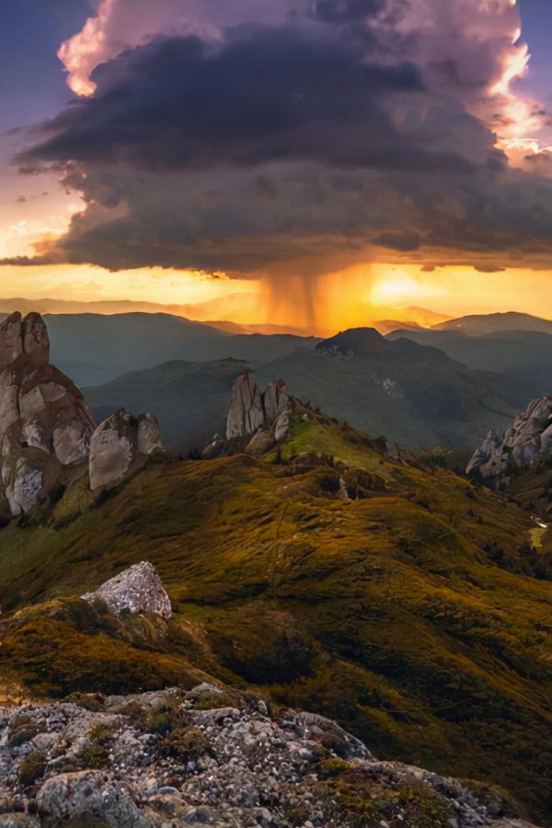 真实大象图片大全可爱,真实野生大象图片