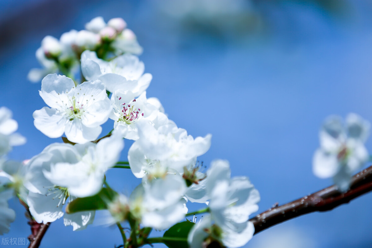 退休后想找一个打发时间的工作,退休后简单生活余生才能淡然从容