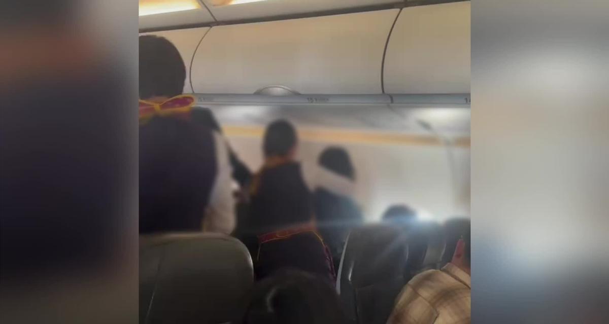 两乘客坐飞机高空中斗殴,飞机场互殴事件