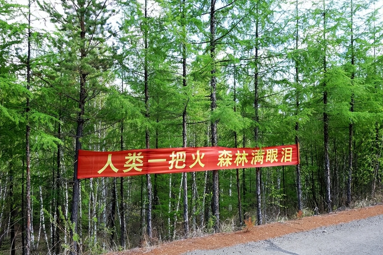 禁烧宣传标语,禁烧宣传标语图片