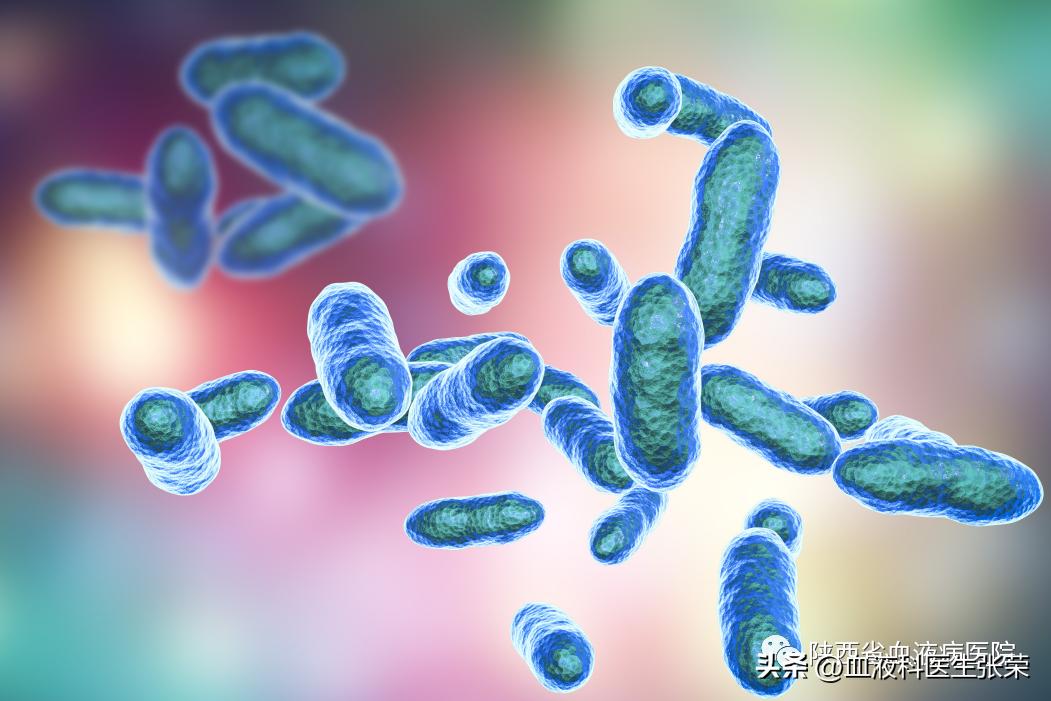 减轻化疗副作用的中药方,怎么减轻化疗对骨髓抑制