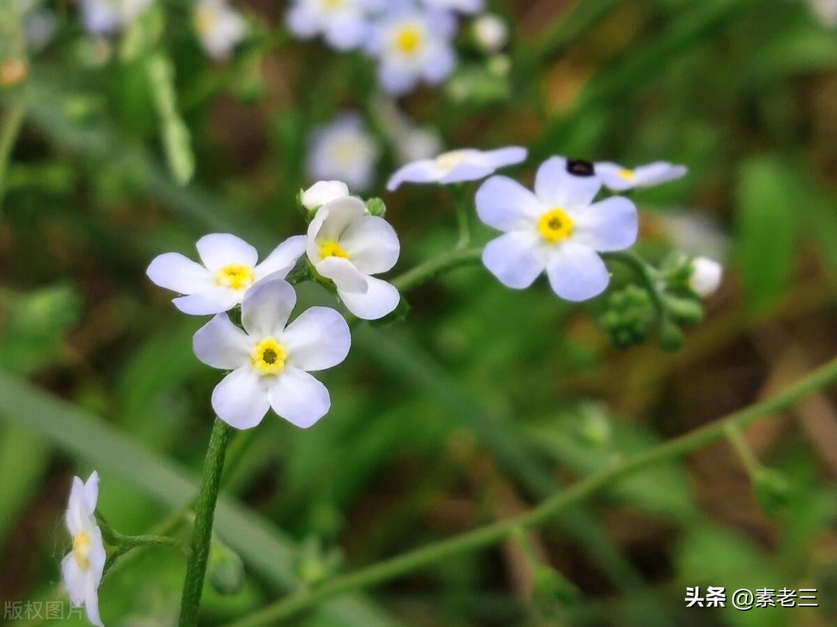 女作家去做保姆最新一期内容,女作家去做保姆520