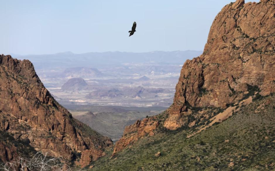 120°F↗（48摄氏度）各州拉响最高警报！所有人不要出门！