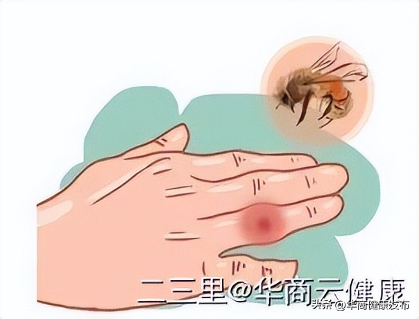 赏花的注意事项,赏花的小技巧