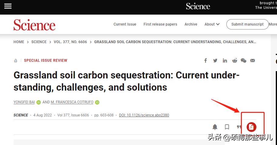 外文文献在哪找原文,找到外文文献怎么做成文献