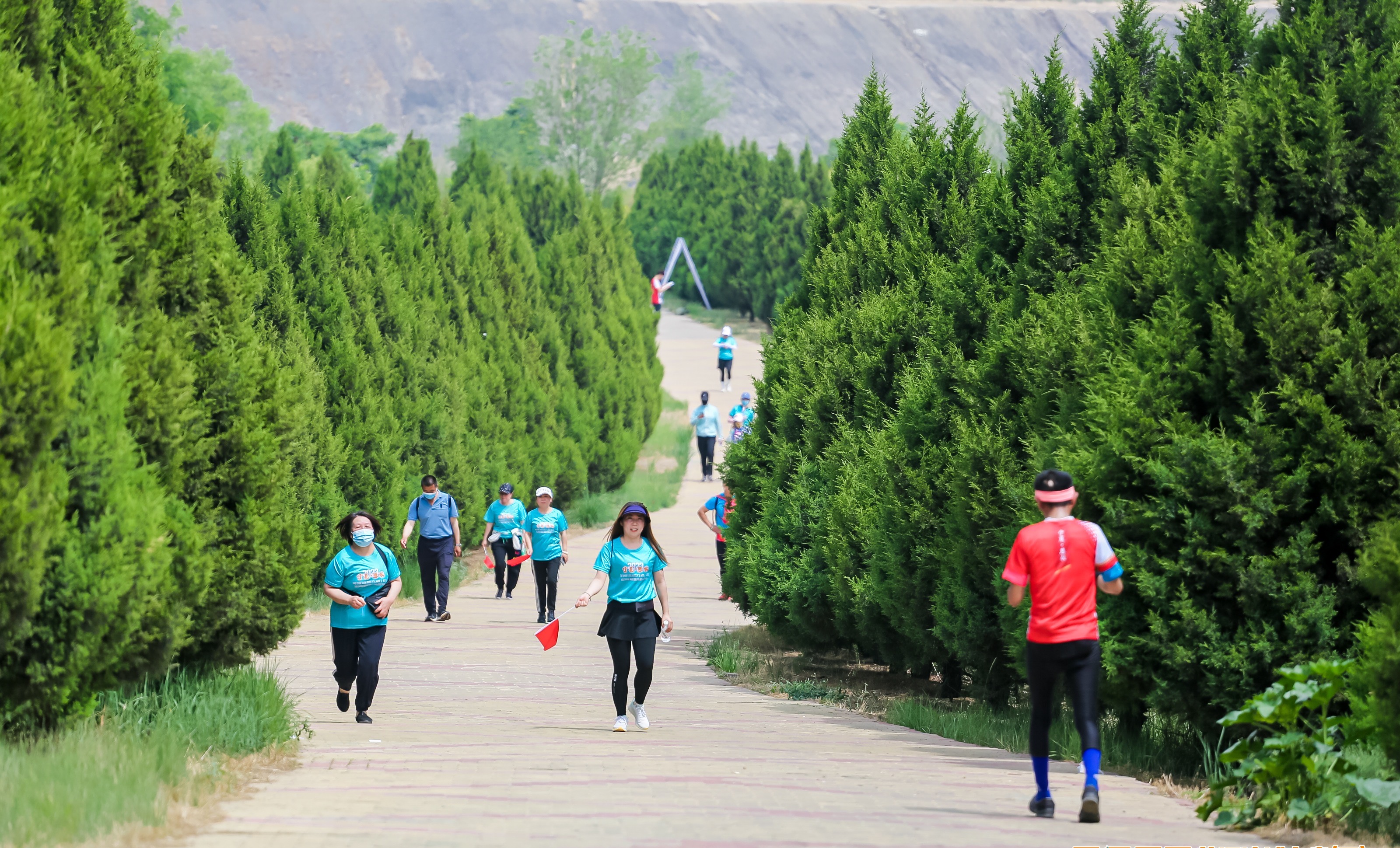 夏津黄河故道50公里定向越野赛,黄河湿地越野赛