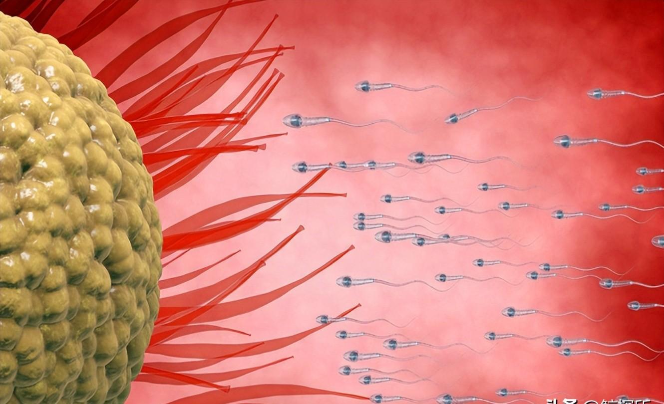 科学家精子运动违背牛顿第三定律,精子科学家