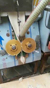 “是小蛇出了轨，还是青蛙劈了腿？”这是现实版的美杜莎？哈哈