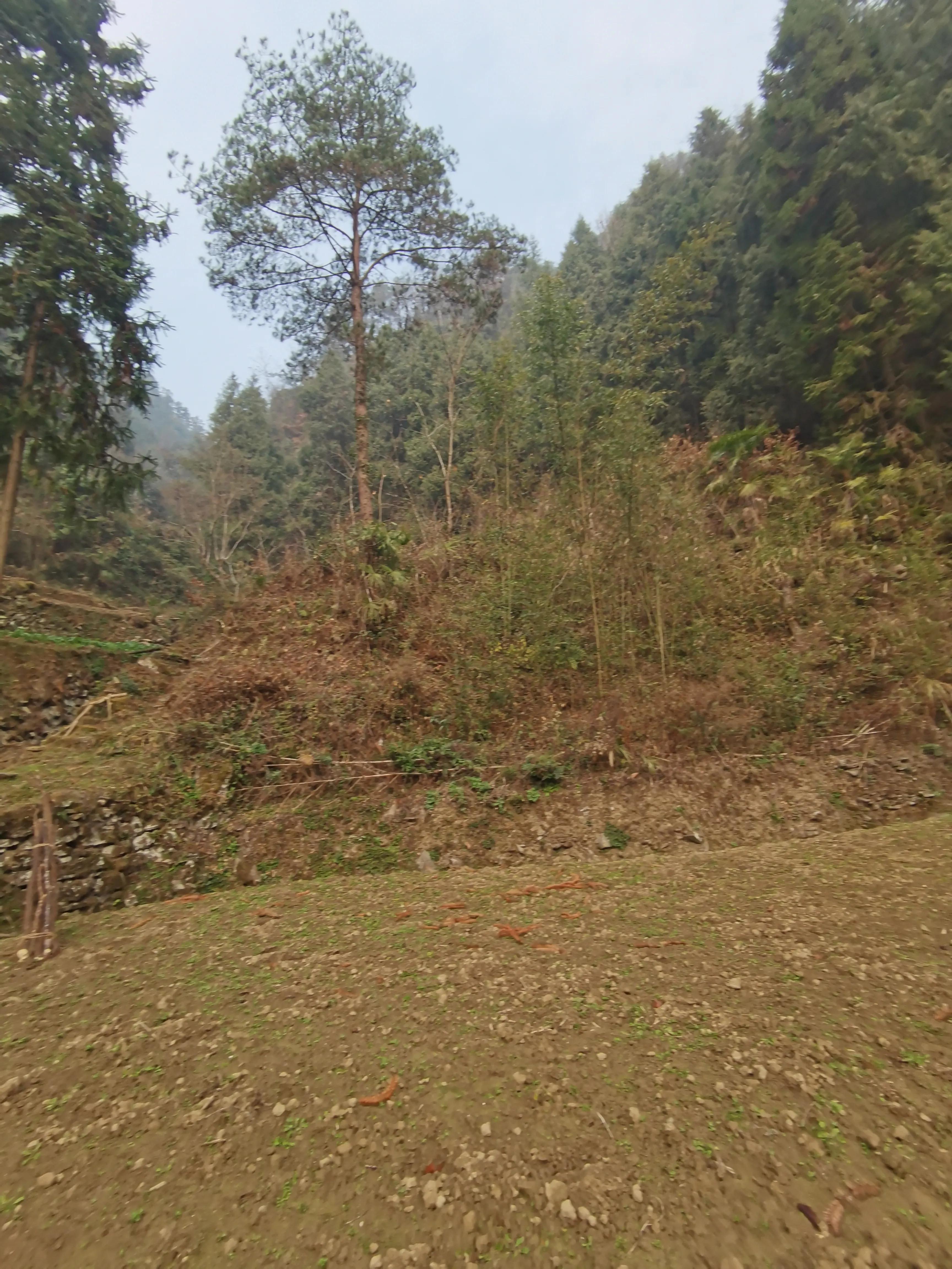 我家后面有座大山,我家后面有一座山用什么符号表示
