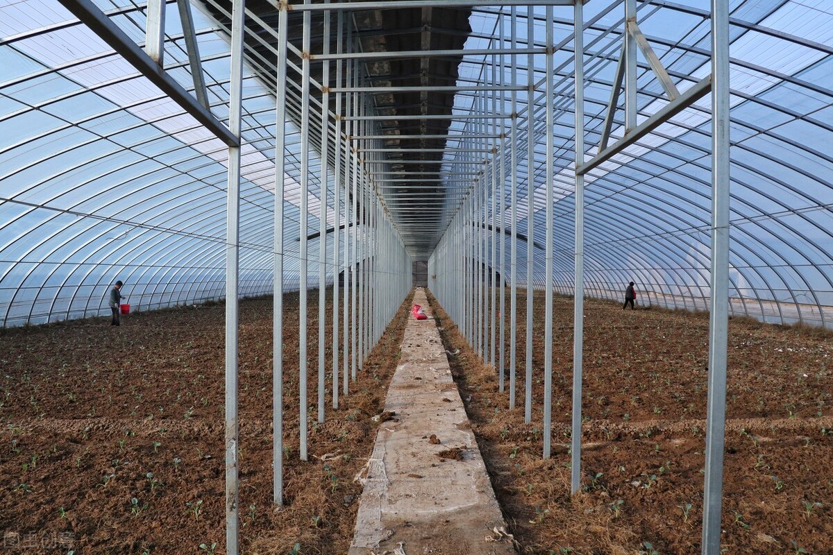 淄博温室大棚防虫网有什么作用,大棚防虫网选多少目通风效果好