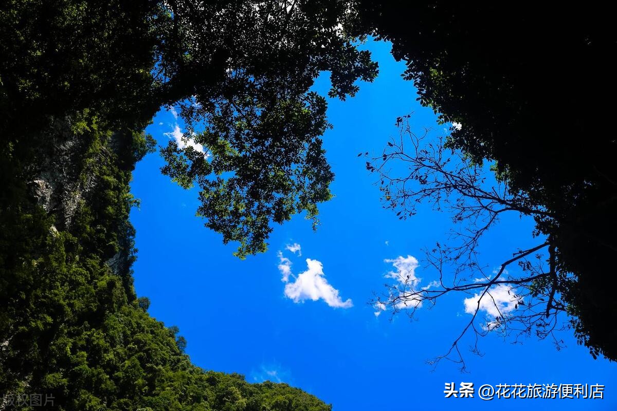 荔波绿宝石一日游,荔波全年游客接待量