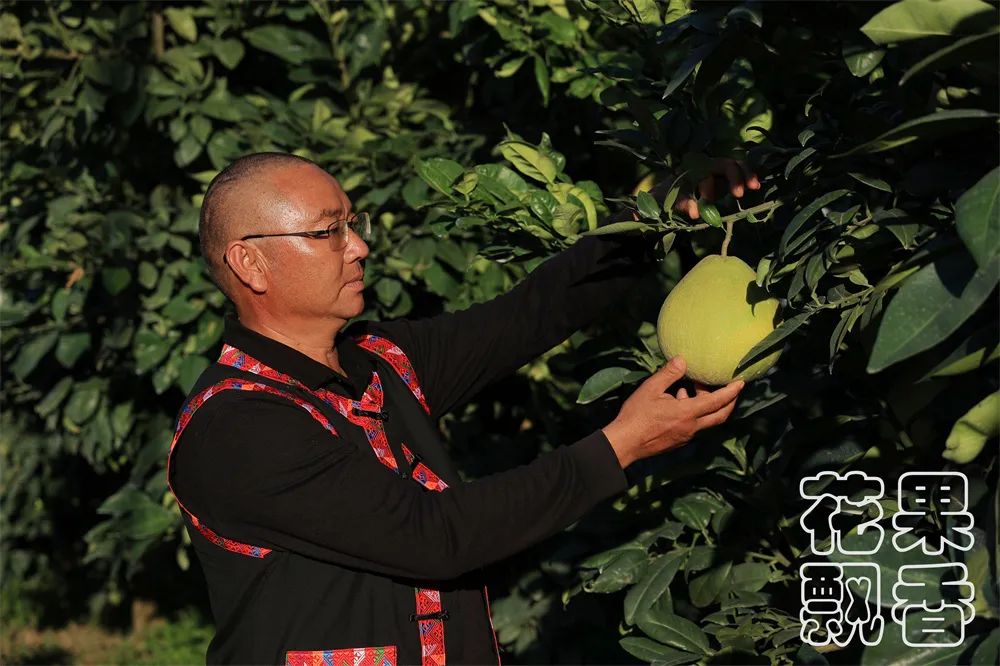 养殖十大暴利品种,暴利种植品种