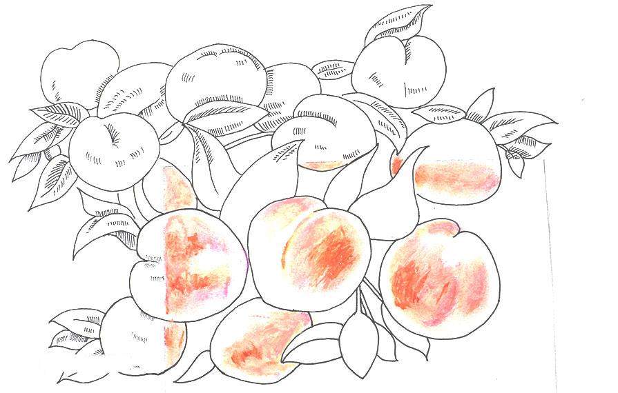 桃子精解说,桃子精万岁