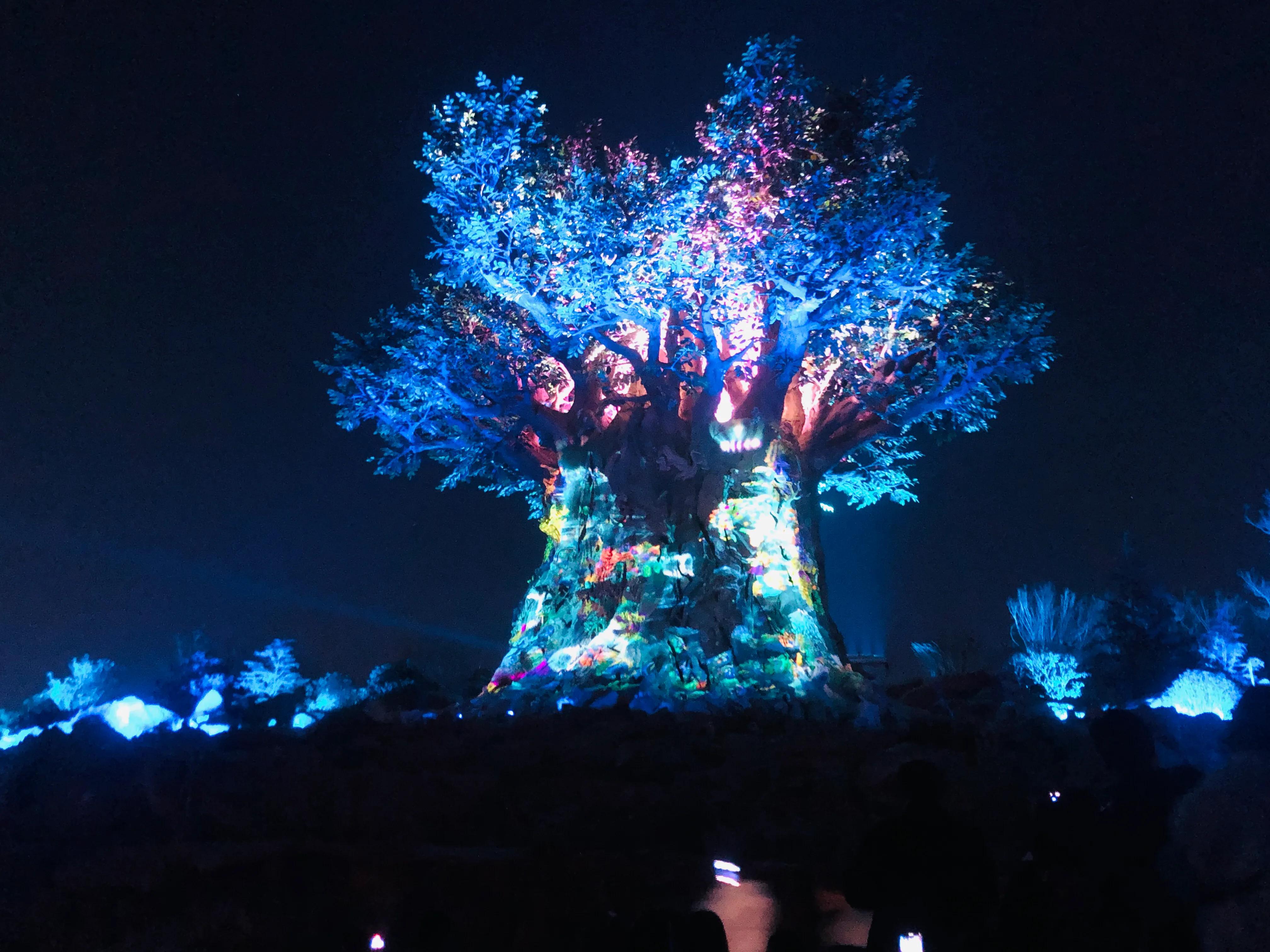 银基动物王国最强游玩攻略,银基动物王国游玩最详细攻略