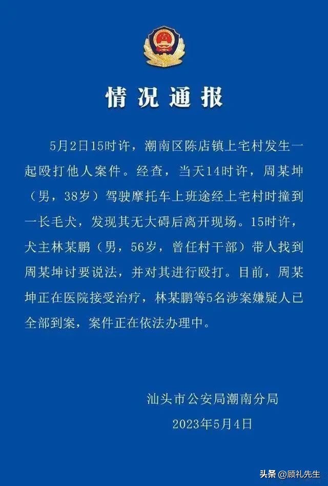 曝男子撞村长的狗被殴打后续,男子撞倒村长的狗遭殴打