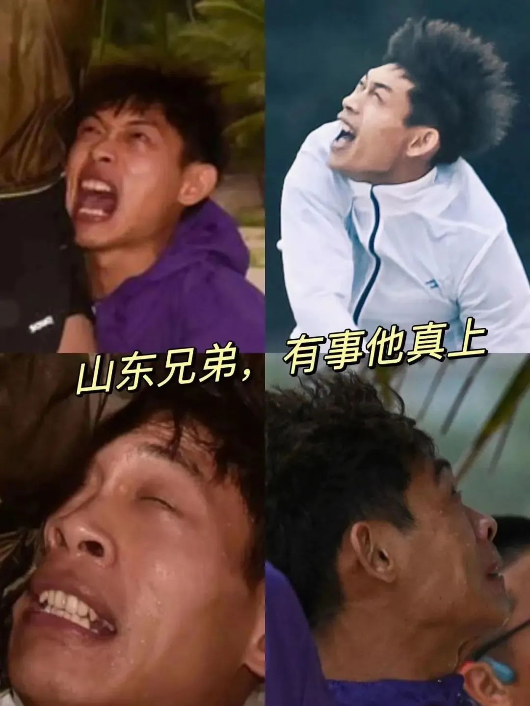 越山向海解析,越山向海深度解析