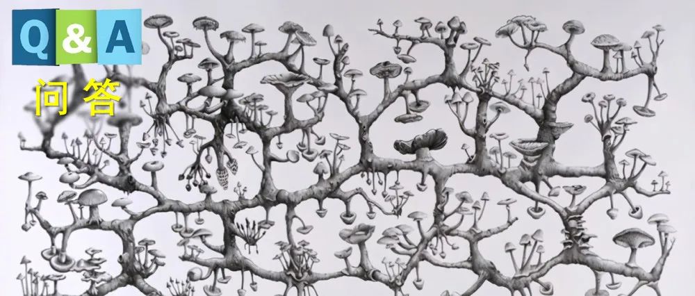 钢化玻璃为啥会裂,钢化玻璃为什么裂开