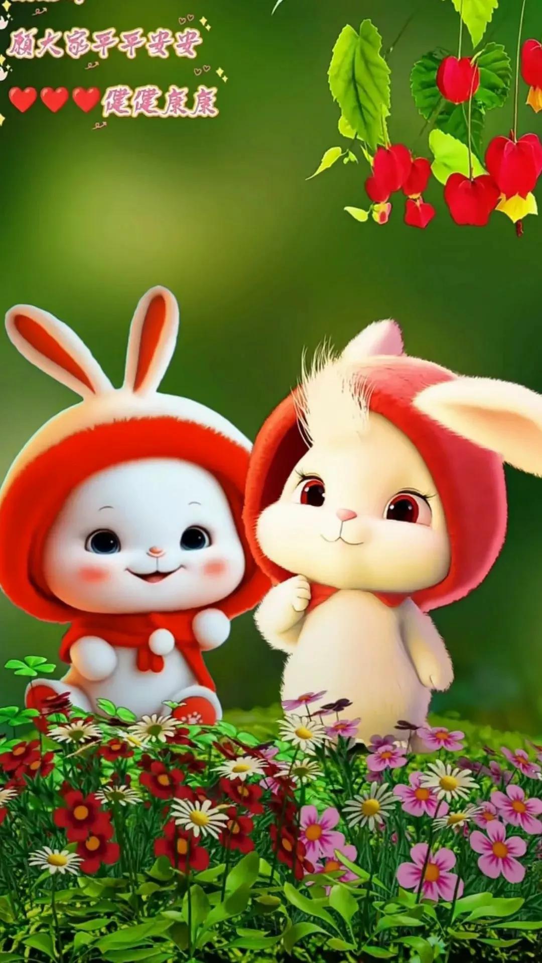 一组开心的萌兔送给大家请欣赏