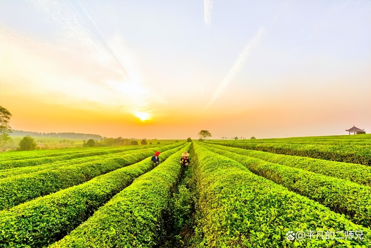 南昌出发三日游旅游景点推荐表,南昌周边旅游攻略溪霞怪石岭景点