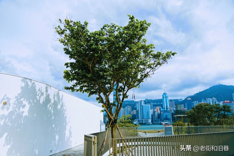 罗生门和黄粱梦,罗生门香港live