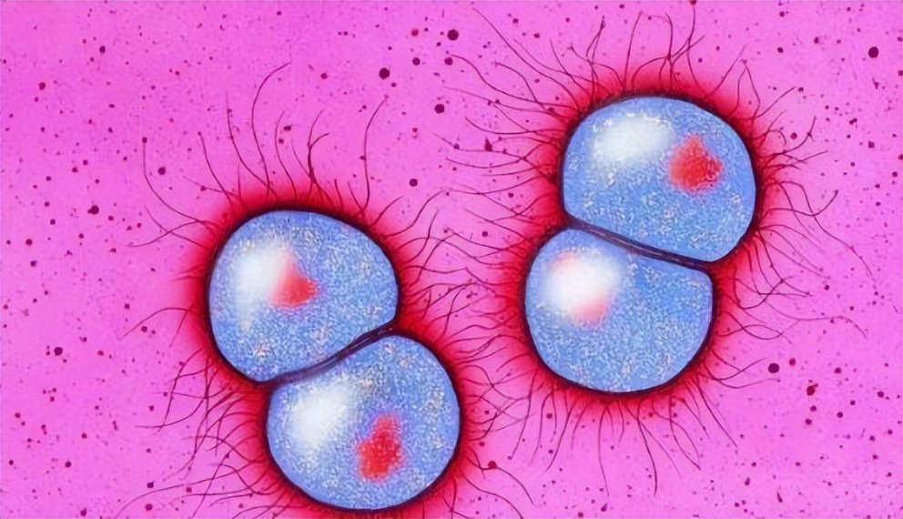 六类疾病可以通过性传播，医生劝告：思想开放的人，别胡作非为！