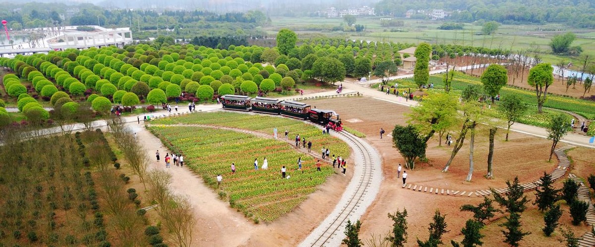 芦溪县各乡镇面积,芦溪镇的历史简介