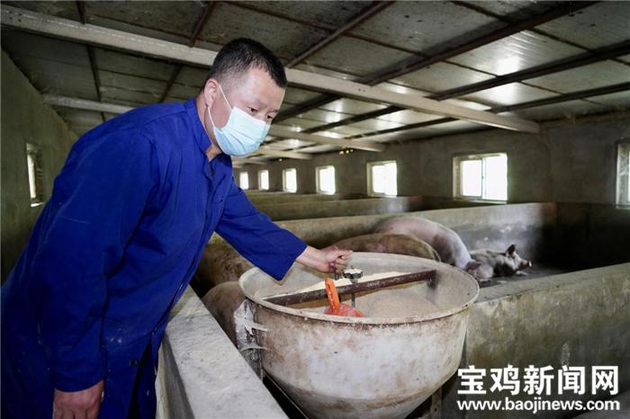 杨百万简历,杨百万的奋斗史