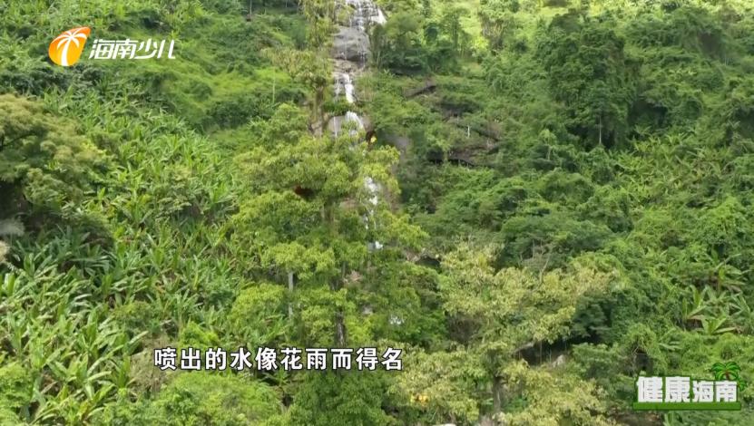 健康海南｜医疗护理师话说快乐健康去旅行！