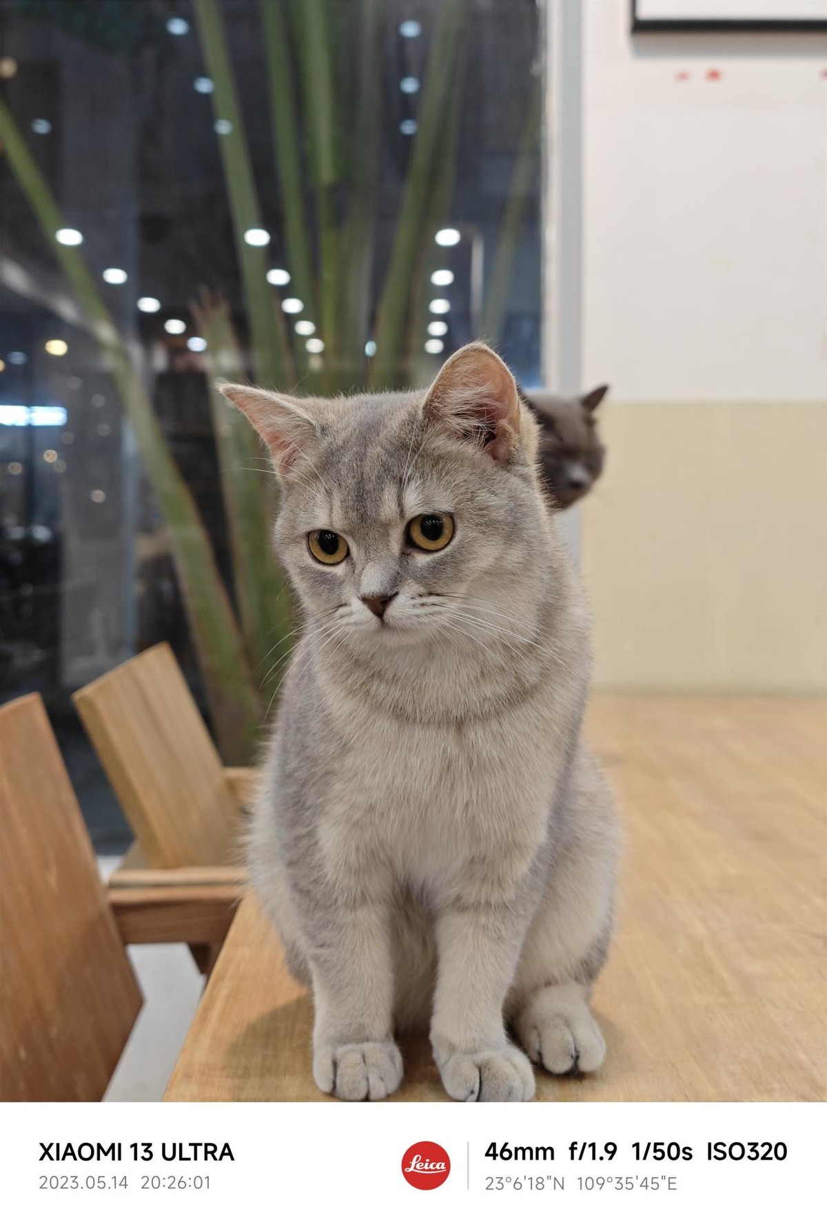 感受一下小米13ultra的魅力吧,深度体验小米13三个月