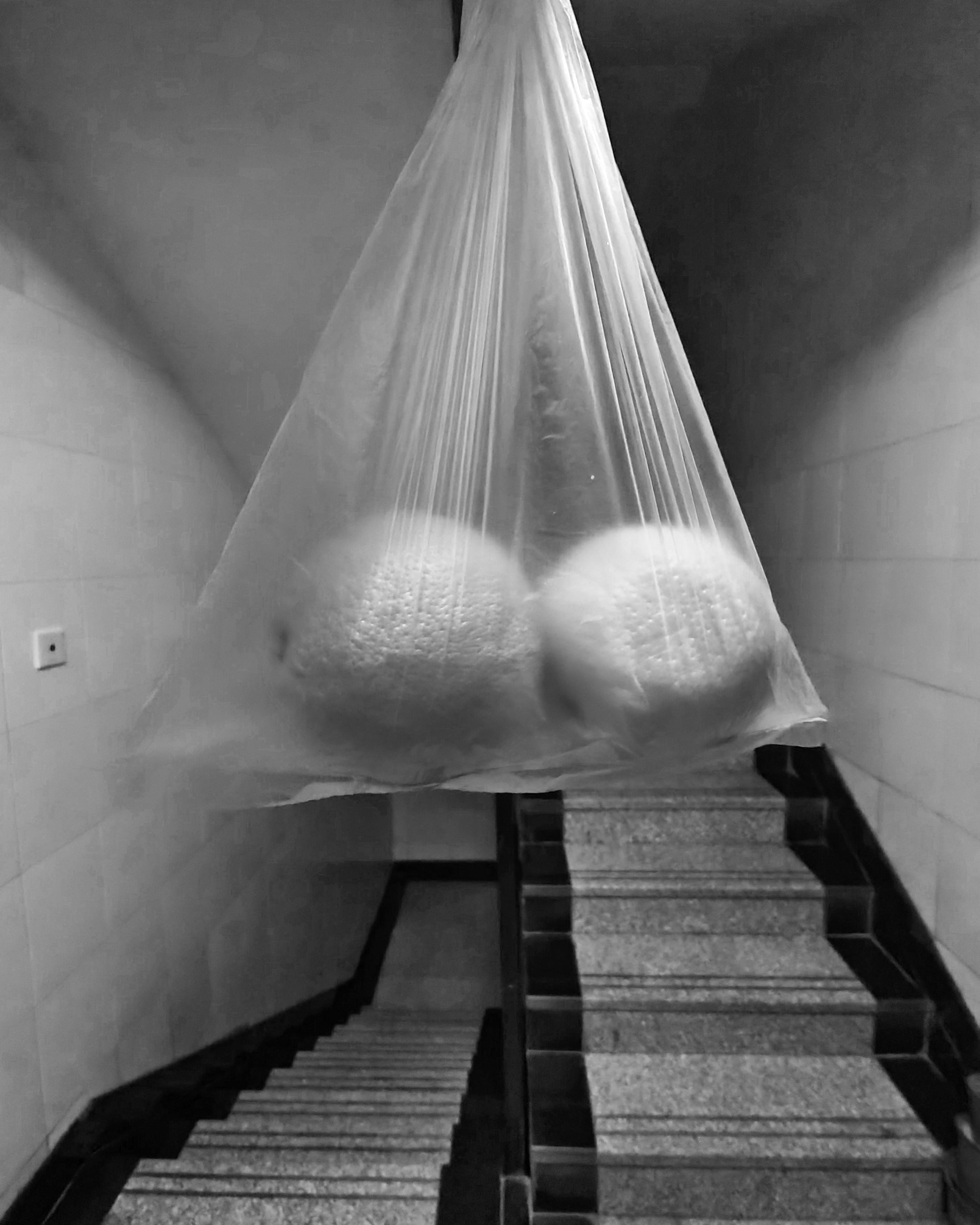 隔离日记隔离生活,隔离日记