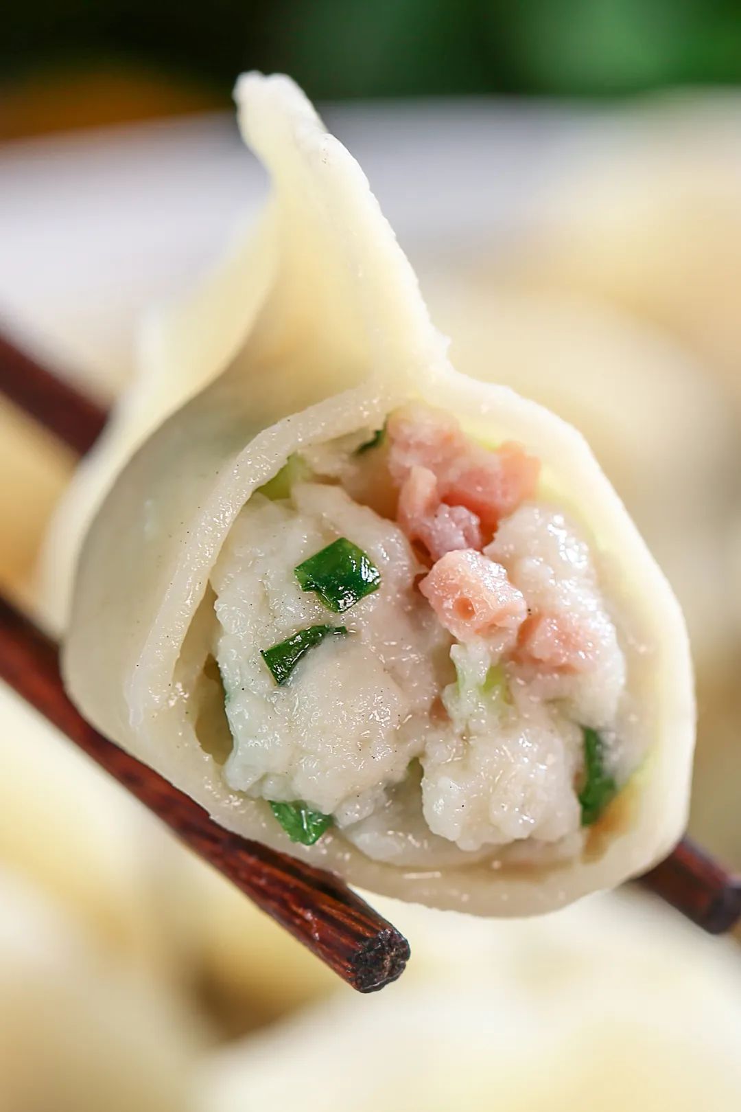 南方马鲛和北方马鲛哪个好吃,山东鲅鱼与南方马鲛鱼哪个好吃