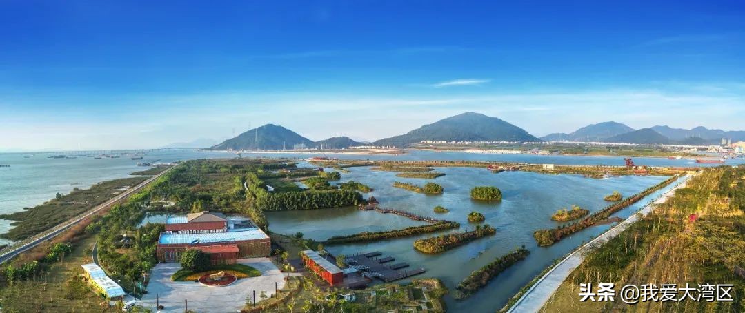 珠海春游赏花,珠海周边踏青景点