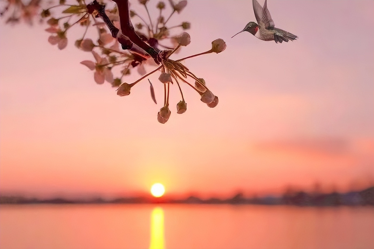 朋友相处之道的经典语录,做人对朋友最基本的原则