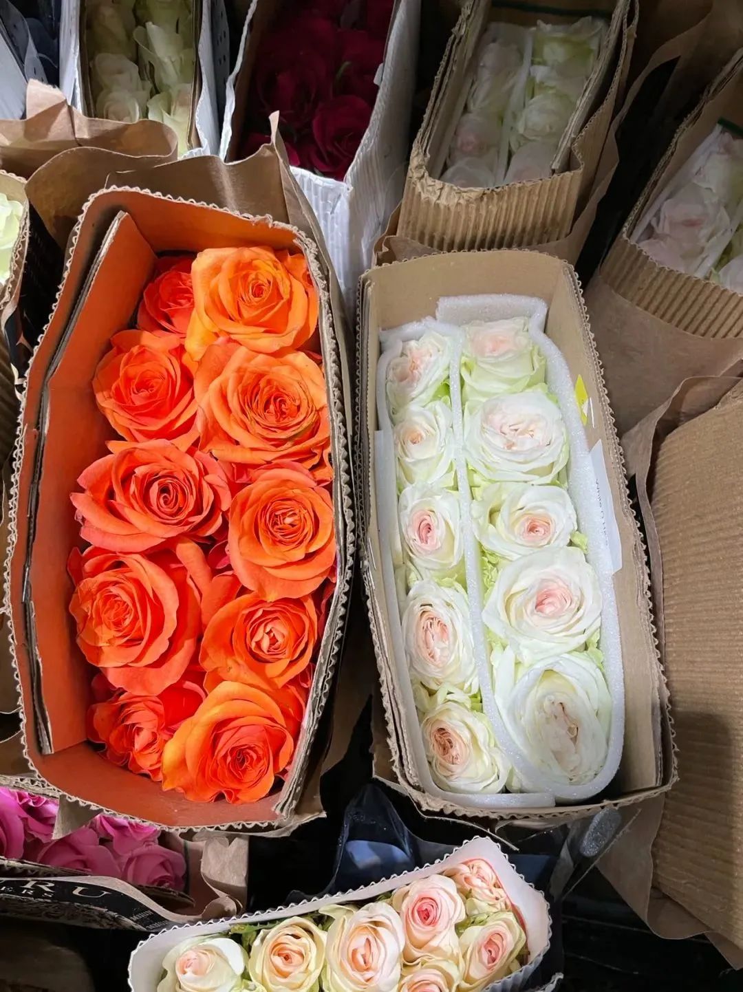 新手必看鲜花养护攻略,鲜花在水里能养几天会死