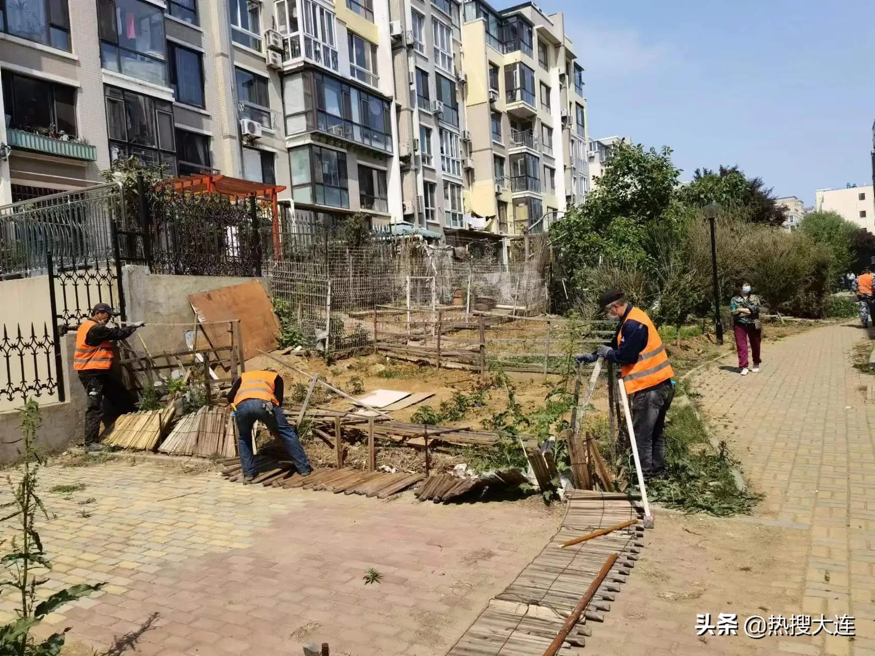 拆违治乱提质攻坚行动最难的任务,检举征收土地违法强拆