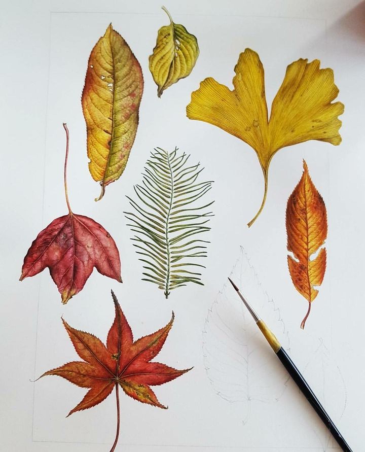 初学画画入门零基础直播,初学画画到底应该学什么