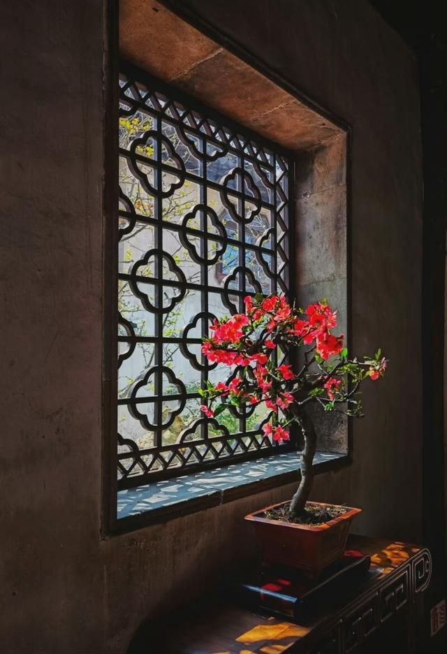 60首描写夏天的经典诗词,夏日消暑诗词每一句都很清凉