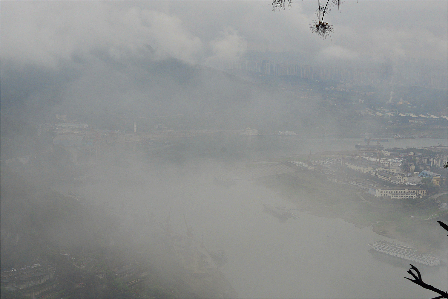 【重庆影像376】·铁山坪森林公园（202302）