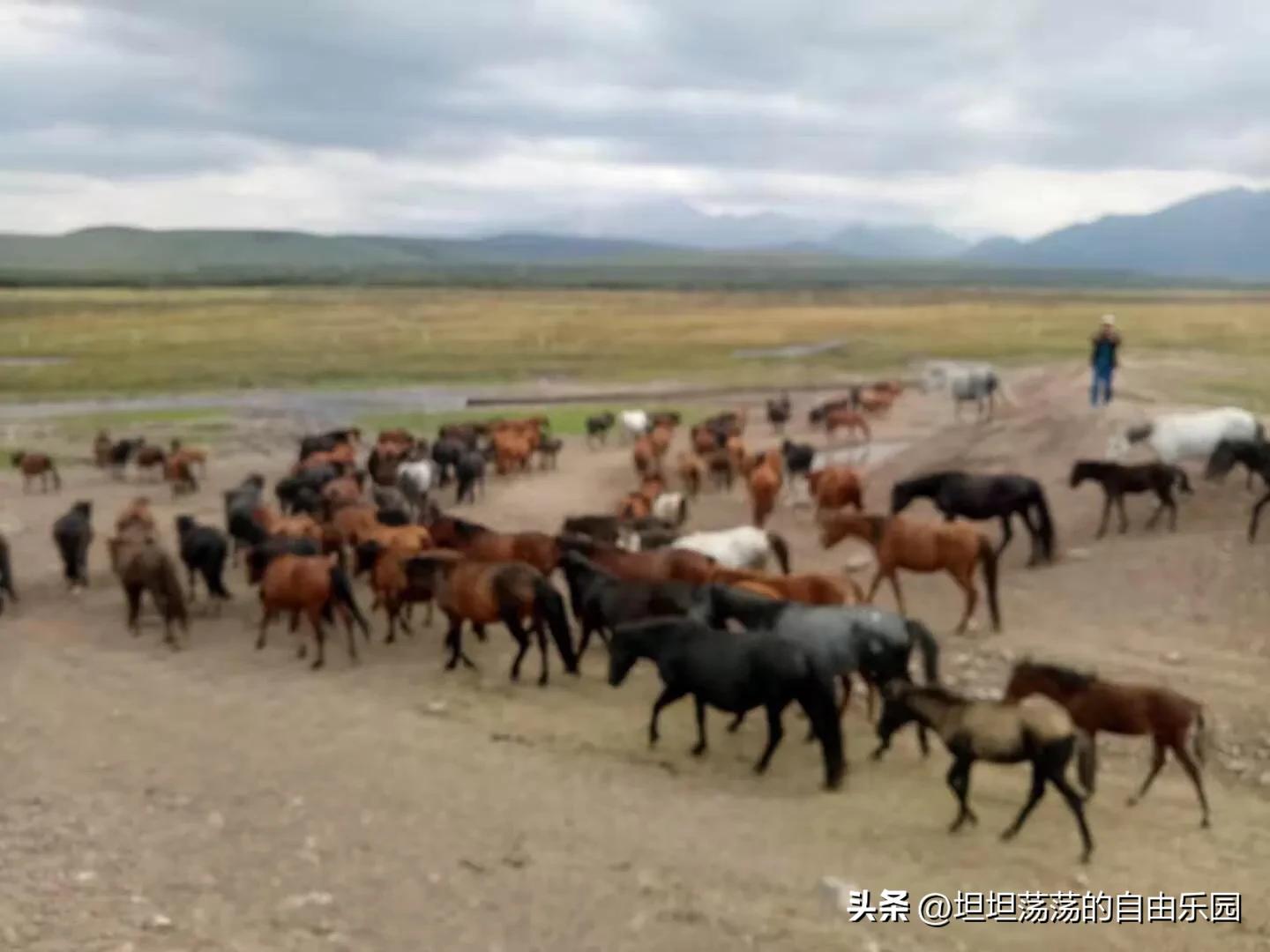 胡锡进谈股票,胡锡进增持股票