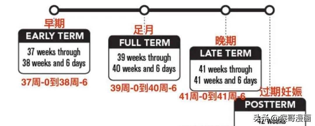 同样37周一样大吗,最佳足月胎儿39周与40周差别