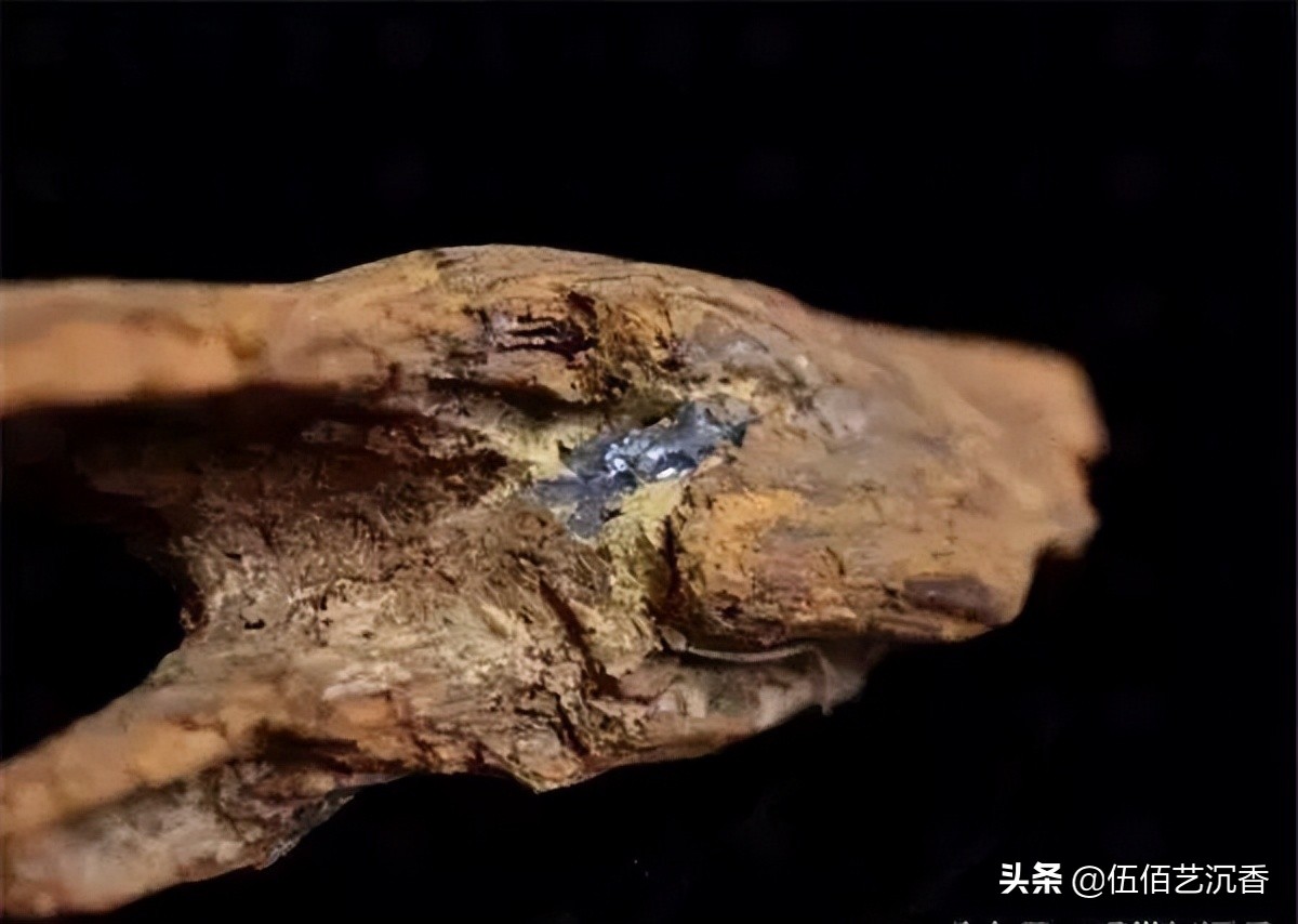 沉香造假最新视频,沉香造假的手法