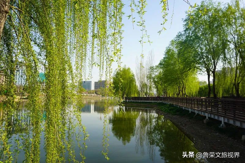 西安坐地铁旅游全攻略,西安半日游地铁