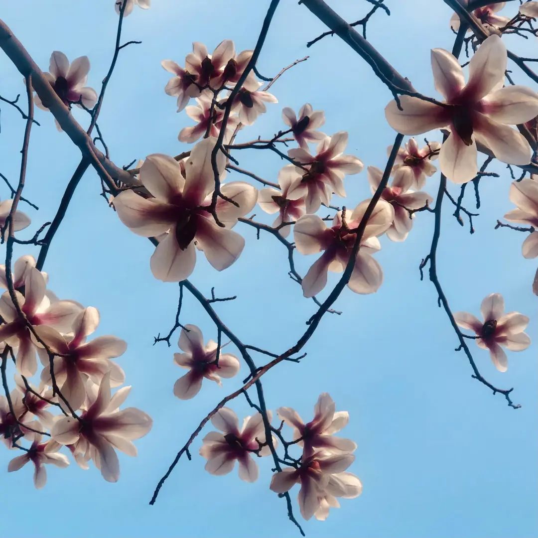 错过了一个秋天,错过了一个春秋