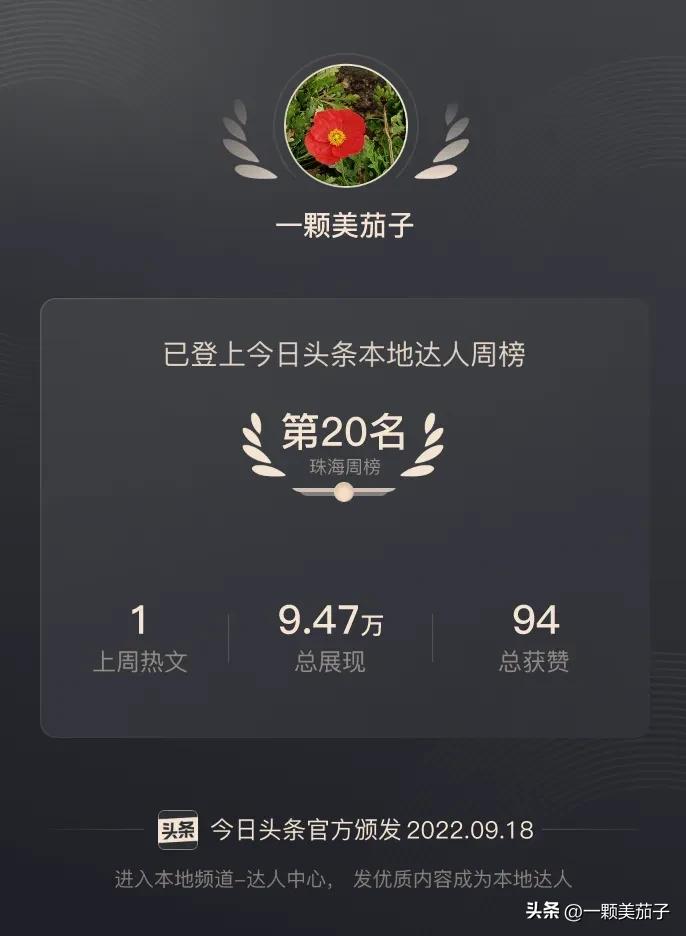 企鹅百家今日头条收益哪个高,头条百家都有收益了吗